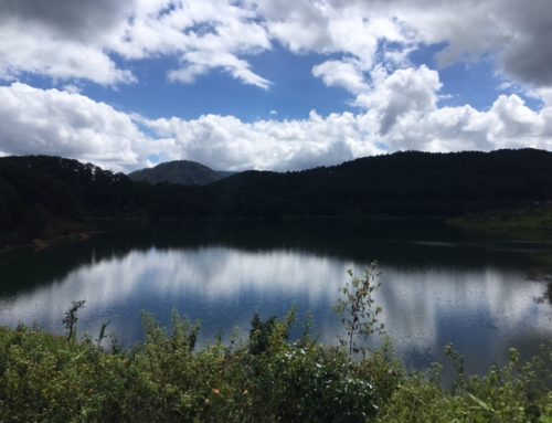 Little hike to Tuyen Lam Lake aka Edensee south of Da Lat