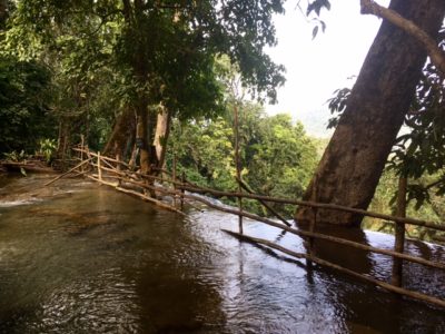 Top of Kuang Si Waterfalls