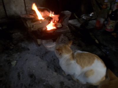 Cozy Kitchen