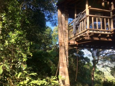 One of the Tree Houses